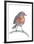 Robin-Elizabeth Rider-Framed Giclee Print