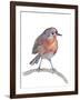 Robin-Elizabeth Rider-Framed Giclee Print