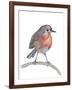 Robin-Elizabeth Rider-Framed Giclee Print