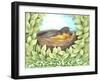 Robin-Melinda Hipsher-Framed Giclee Print