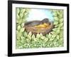 Robin-Melinda Hipsher-Framed Giclee Print