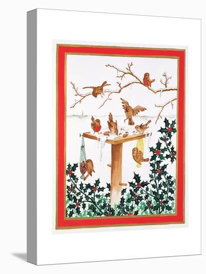Robins and Sparrows at the Bird Table-Jeanne Maze-Stretched Canvas