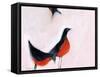 Robins from Memory-Janel Bragg-Framed Stretched Canvas