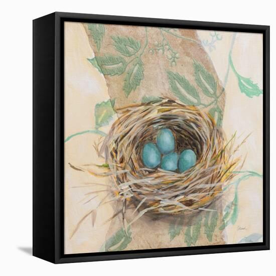 Robins Nest-Sue Schlabach-Framed Stretched Canvas