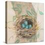 Robins Nest-Sue Schlabach-Stretched Canvas