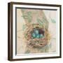 Robins Nest-Sue Schlabach-Framed Art Print