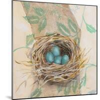 Robins Nest-Sue Schlabach-Mounted Art Print