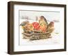 Robins with Apples, 1997-E.B. Watts-Framed Premium Giclee Print