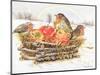 Robins with Apples, 1997-E.B. Watts-Mounted Premium Giclee Print