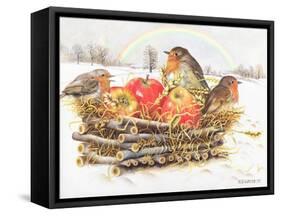 Robins with Apples, 1997-E.B. Watts-Framed Stretched Canvas