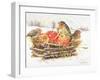 Robins with Apples, 1997-E.B. Watts-Framed Giclee Print