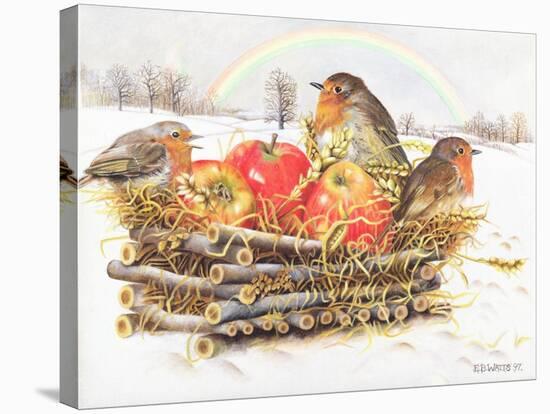 Robins with Apples, 1997-E.B. Watts-Stretched Canvas