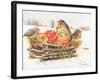 Robins with Apples, 1997-E.B. Watts-Framed Giclee Print