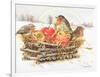 Robins with Apples, 1997-E.B. Watts-Framed Giclee Print