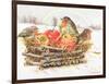 Robins with Apples, 1997-E.B. Watts-Framed Giclee Print