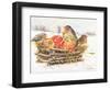 Robins with Apples, 1997-E.B. Watts-Framed Giclee Print