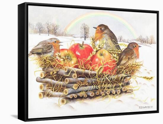 Robins with Apples, 1997-E.B. Watts-Framed Stretched Canvas