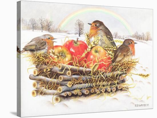 Robins with Apples, 1997-E.B. Watts-Stretched Canvas