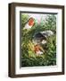 Robins-English School-Framed Giclee Print