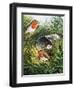 Robins-English School-Framed Giclee Print