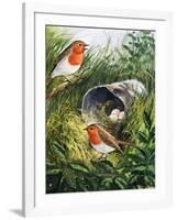 Robins-English School-Framed Giclee Print