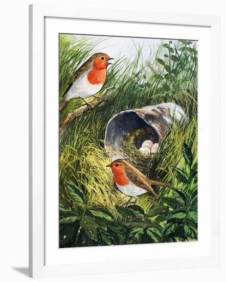Robins-English School-Framed Giclee Print