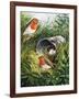 Robins-English School-Framed Giclee Print