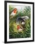 Robins-English School-Framed Giclee Print