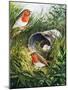 Robins-English School-Mounted Giclee Print