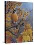 Robins-Robert Wavra-Stretched Canvas