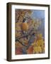 Robins-Robert Wavra-Framed Giclee Print