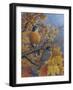 Robins-Robert Wavra-Framed Giclee Print