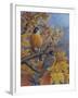 Robins-Robert Wavra-Framed Giclee Print