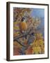 Robins-Robert Wavra-Framed Giclee Print