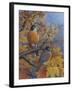 Robins-Robert Wavra-Framed Giclee Print