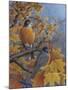 Robins-Robert Wavra-Mounted Giclee Print