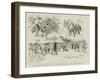 Robinson Crusoe at Drury Lane, Scenes from The History of England in Twenty Minutes-null-Framed Premium Giclee Print