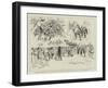 Robinson Crusoe at Drury Lane, Scenes from The History of England in Twenty Minutes-null-Framed Premium Giclee Print