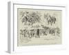 Robinson Crusoe at Drury Lane, Scenes from The History of England in Twenty Minutes-null-Framed Premium Giclee Print