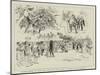 Robinson Crusoe at Drury Lane, Scenes from The History of England in Twenty Minutes-null-Mounted Premium Giclee Print