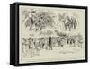 Robinson Crusoe at Drury Lane, Scenes from The History of England in Twenty Minutes-null-Framed Stretched Canvas