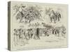 Robinson Crusoe at Drury Lane, Scenes from The History of England in Twenty Minutes-null-Stretched Canvas