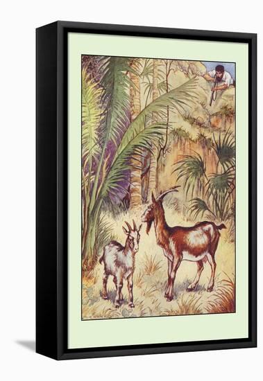 Robinson Crusoe: Having No Victuals to Eat, I Killed a She-Goat-Milo Winter-Framed Stretched Canvas