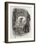 Robinson Crusoe, Novel by Daniel Defoe-null-Framed Premium Giclee Print