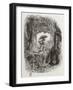 Robinson Crusoe, Novel by Daniel Defoe-null-Framed Premium Giclee Print