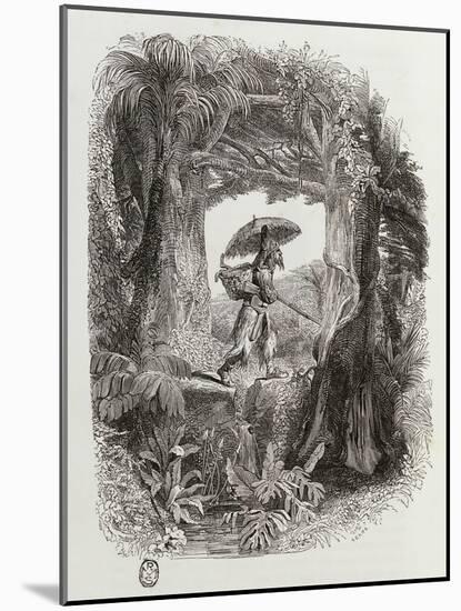 Robinson Crusoe, Novel by Daniel Defoe-null-Mounted Premium Giclee Print