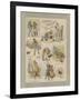 Robinson Crusoe-null-Framed Giclee Print