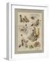 Robinson Crusoe-null-Framed Giclee Print