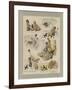 Robinson Crusoe-null-Framed Giclee Print