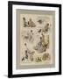 Robinson Crusoe-null-Framed Giclee Print